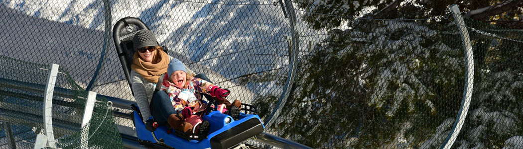 Forest Flyer Mountain Coaster Vail Ski Resort